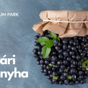 nyári konyha